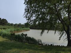 -塘沽森林公园