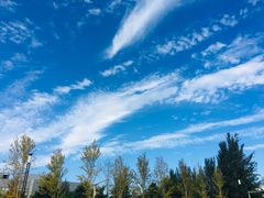 -中关村生命科学园