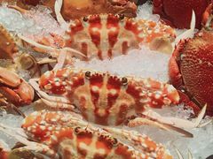 -安蒂娅·海鲜自助餐厅(安蒂娅美兰酒店)