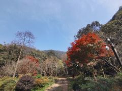 -黄公望隐居地