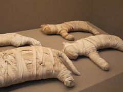 -上海博物馆(人民广场馆)