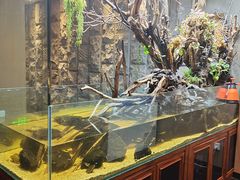 面包甜点陈列柜-甄花精致料理自助(城市阳台店)
