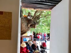 -古树酸奶(八廓南街店)