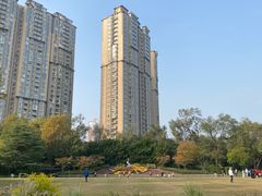 -中山公园