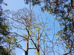 -东南悬空寺方广岩