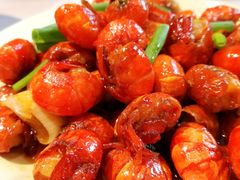 -巴厘龙虾·榜首油焖大虾(音乐学院·沿江酒馆店)