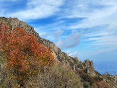 -白草畔自然风景区