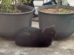 -转山咖啡(松柏社区店)