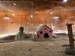 -酷嗒动物文化乐园(cutezoo西溪乐天城店)