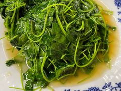 -协和菜馆(凤凰街店)