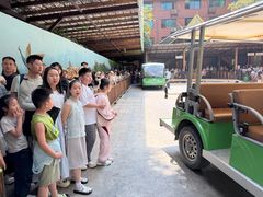 -西双版纳原始森林公园
