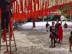 -西双版纳原始森林公园