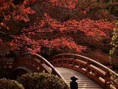-醍醐寺
