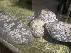 -青青世界