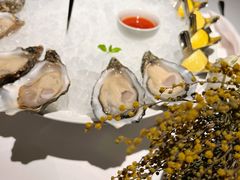 -Oyster Talks 四度蚝法餐厅