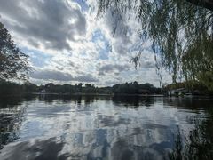 -上海共青森林公园