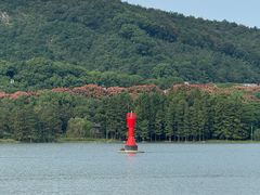-长广溪湿地公园