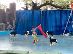 -泉州海丝野生动物世界