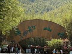 -紫藤园·天目湖大鱼头(南山竹海店)