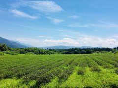 -美兰湖景区