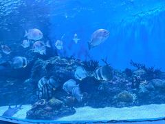 -海合安成都极地海洋公园