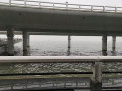 -演武大桥观景平台