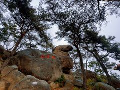 -崂山巨峰游览区
