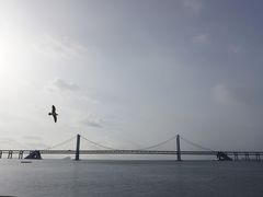 -星海广场