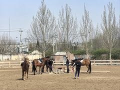 -北京群众马术培训基地