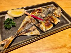 烤竹荚鱼-镹·鱼料理  国产鱼使用店