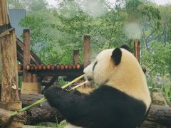 -武汉动物园