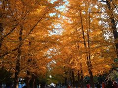 -辽东学院(南校区)