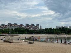 -九龙湖公园