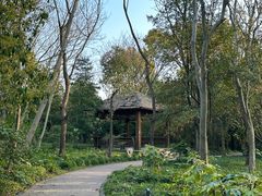 -上海吴淞炮台湾国家湿地公园
