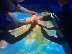 -珠海横琴国家地理探险家中心(创新方)