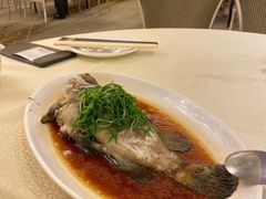 -金翠皇宫粤菜·点心·海鲜(翡翠店)