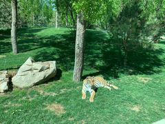 -北京野生动物园