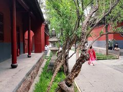 -洛阳白马寺