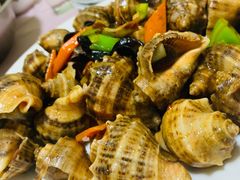 酱爆海螺-宾朋海鲜特色美食餐厅·纯手工鲅鱼水饺(兴海路店)