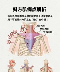 -素妍国际皮肤管理中心
