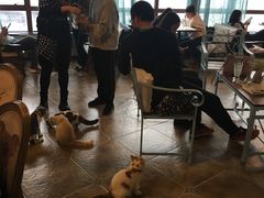 大堂-共舞时光猫咖·狗咖(新街口店)