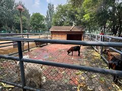 -长白岛森林公园