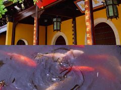 -西园戒幢律寺