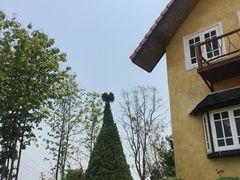 -黄色小屋