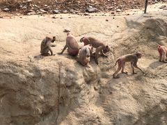 景点-石家庄市动物园