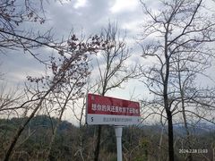 -云碧峰国家森林公园