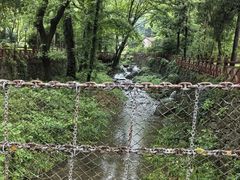 -素山寺森林公园