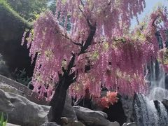 -古龙峡漂流