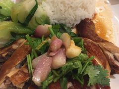 -潮庭港式茶餐厅·熊仔奶茶(同济广场店)