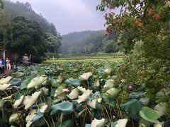 景点-韶山毛泽东同志故居